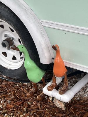   at Seaside Eatery in Key Largo