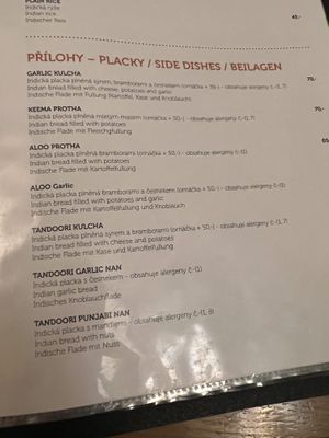 vegan nan!!  at Taj Mahal in Usti Nad Labem