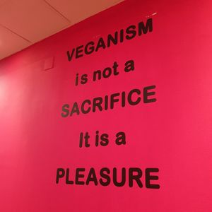 On the wall at Vegan Mount in Barcelona