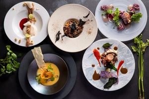 VEGAN LAUNCH at Symphony in Sendai