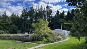   at Pillars of Hercules Organic Farm Shop and Cafe in Falkland