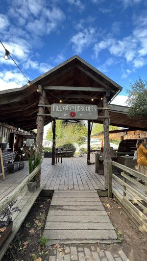   at Pillars of Hercules Organic Farm Shop and Cafe in Falkland