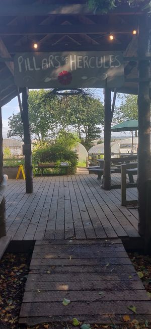 Yay at Pillars of Hercules Organic Farm Shop and Cafe in Falkland