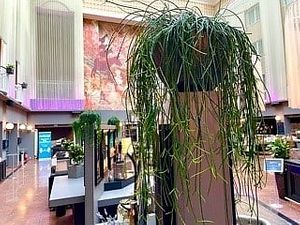 The Lobby - Green everywhere at The Lobby in Bremen