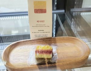 vegeterrine #Veganuary at Vegan Pet Food - 비견 in Seoul