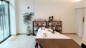 interior of location - view towards other products #Veganuary at Vegan Pet Food - 비견 in Seoul