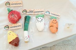toys shaped like vegetables #Veganuary at Vegan Pet Food - 비견 in Seoul
