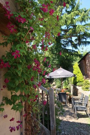 The Lamb Inn at Sandford, Courtyard at The Lamb Inn in Sandford