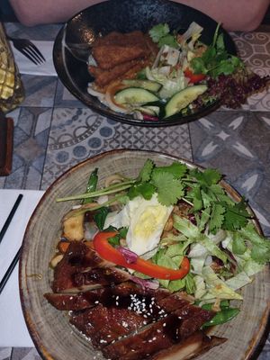 Udon Know Me mit "Ente" (vorne) & Sesami mit "Hühnchen" at Vegang - P-Berg in Berlin