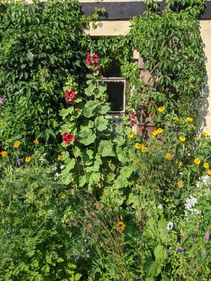 Ogród at Mazurski Folwark in Lisy