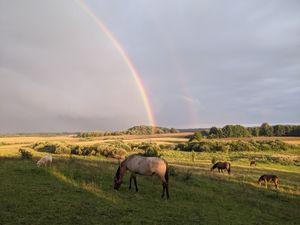 Nasza łąka at Mazurski Folwark in Lisy