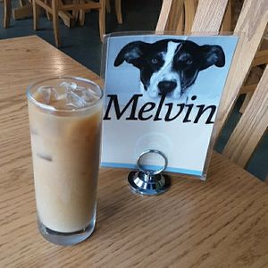 12 oz Cold Brew w/ a splash of oat milk at The Hub Cafe in Lincoln