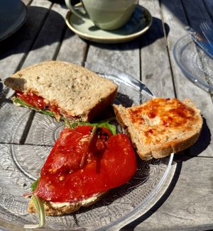 Roasted pepper and hummus sandwich.   at The Running Fox at Kirkharle in Newcastle Upon Tyne