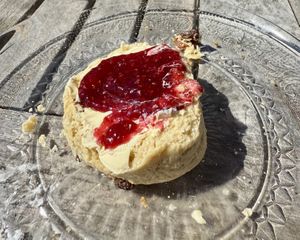 Vegan scone made with plant milk.   at The Running Fox at Kirkharle in Newcastle Upon Tyne