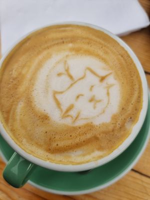  at Café Botánico in La Serena