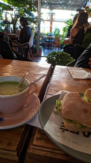  at Café Botánico in La Serena