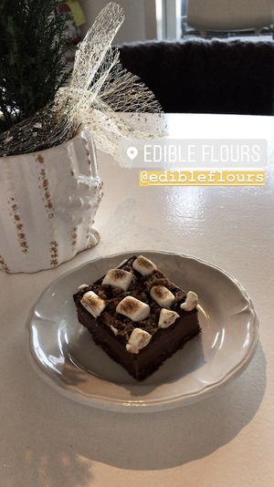 Vegan brownie with marshmallows  at Edible Flours in Vancouver