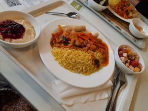 2,95€ for students -Salad, vegan milchreis, springrolls sweet&sour 🙏 at Mensa Rempartstraße in Freiburg