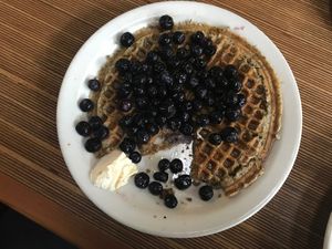 Vegan waffle with blueberry! at Sunlight Cafe in Seattle