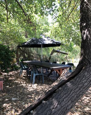 Outdoor seating in the trees  at Joan's Pantry in Hawthorndene