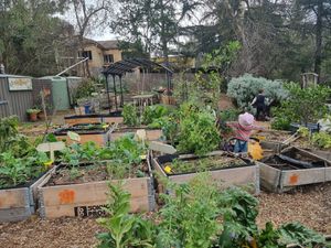 . at Joan's Pantry in Hawthorndene