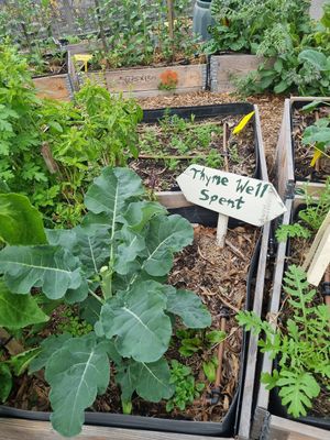 . at Joan's Pantry in Hawthorndene