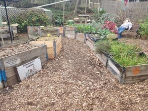 . at Joan's Pantry in Hawthorndene