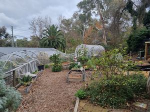 . at Joan's Pantry in Hawthorndene