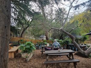 . at Joan's Pantry in Hawthorndene