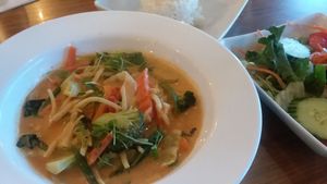 Red curry with vegetables and rice, and green salad at Bangkok Thai in Fort Myers