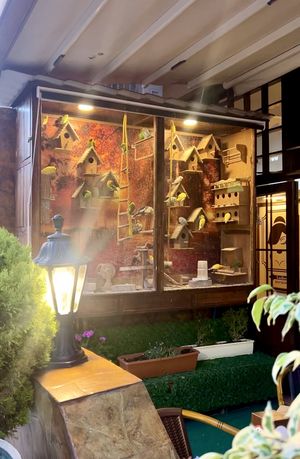   at Petek Pastahanesi in Famagusta