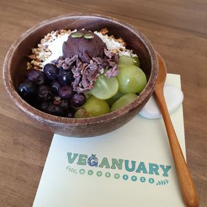 choco vegan greek yogurt bowl #veganuary at Cafe Jogam in Seoul