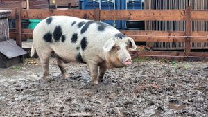   at De VerbroederIJ in Amsterdam