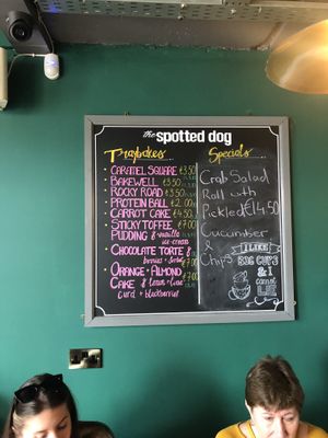 Menu - protein balls seem vegan and possibly the torte - need to check  at The Spotted Dog in Dundalk
