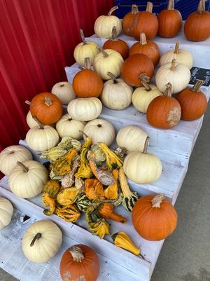 Fall offerings  at Woolf Farms Fruit Market in Salem