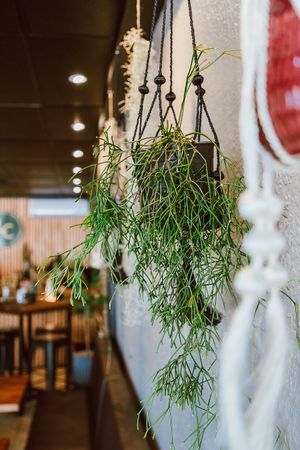 Interior at La Cantina in Tauranga