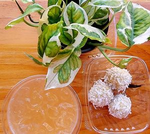  at GoodNatured in Laconia