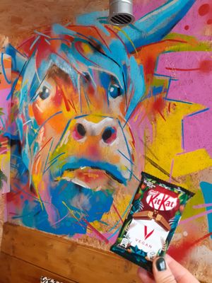 we finally found a vegan kitkat there at VK Plant Based Diner in Waterlooville