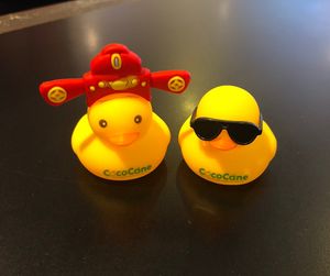 The ducks!  at CocoCane - City Square Mall in Central Singapore