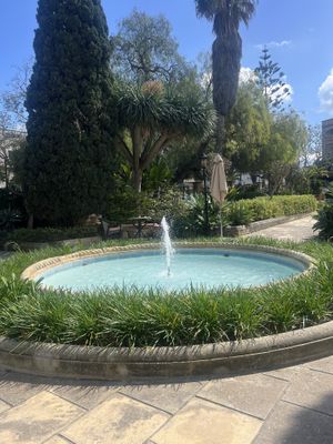   at Josephine's Coffee in Attard