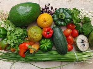  at Casa Misterio in Merida