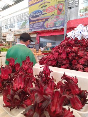  at Casa Misterio in Merida
