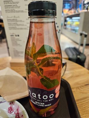 Water Berry Lime Mint at Natoo in Frankfurt
