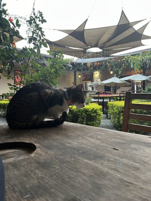   at La Casa de la Empanada in Antigua