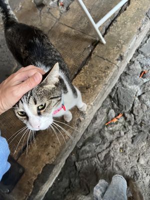   at La Casa de la Empanada in Antigua
