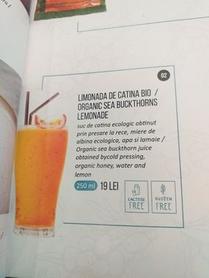  at The Rabbit Hole in Sibiu