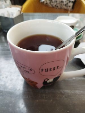 Black tea with cacao and coconut. Side of plant based milk at Cat Caffe in Zagreb