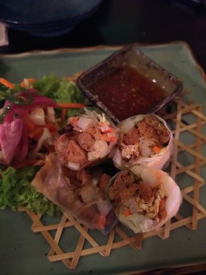 Vietnamese spring rolls at Jasmijn en Ik in Utrecht