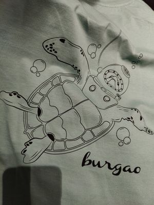 Turtle design at Burgao in Lanzarote