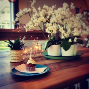 Vegan cupcake at Luus Muus - Loose Moose in Egg